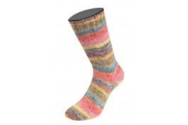 Cosy Socks Dream 253